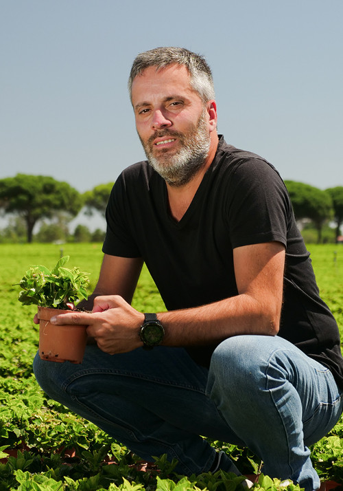 Rui Parreira